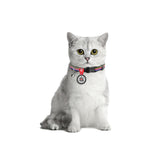 Line 1 Nylon Cat Collar