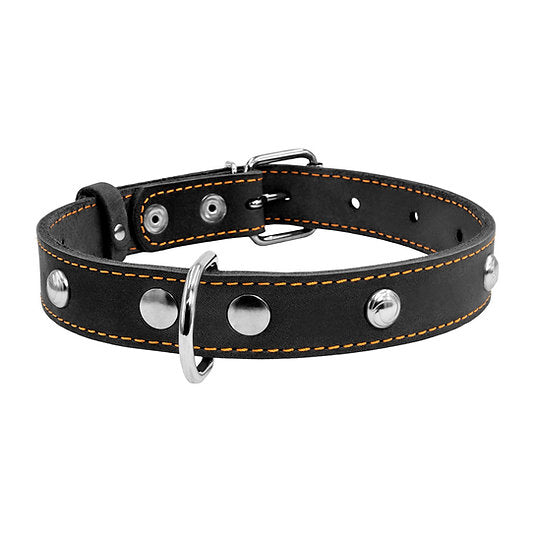 1 Ply leather COLLAR with decoration