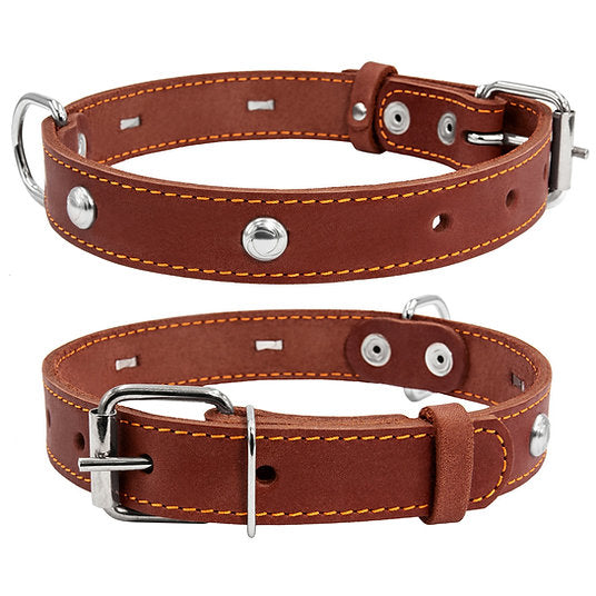 1 Ply leather COLLAR with decoration