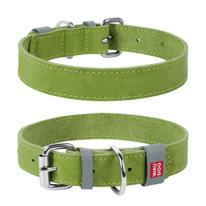 WAUDOG Classic Collar