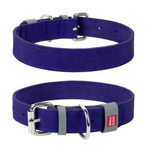 WAUDOG Classic Collar