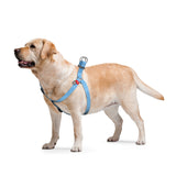 Waudog Re-cotton Harness