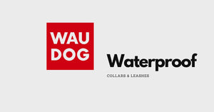Video of Waudog Waterproof Collar 